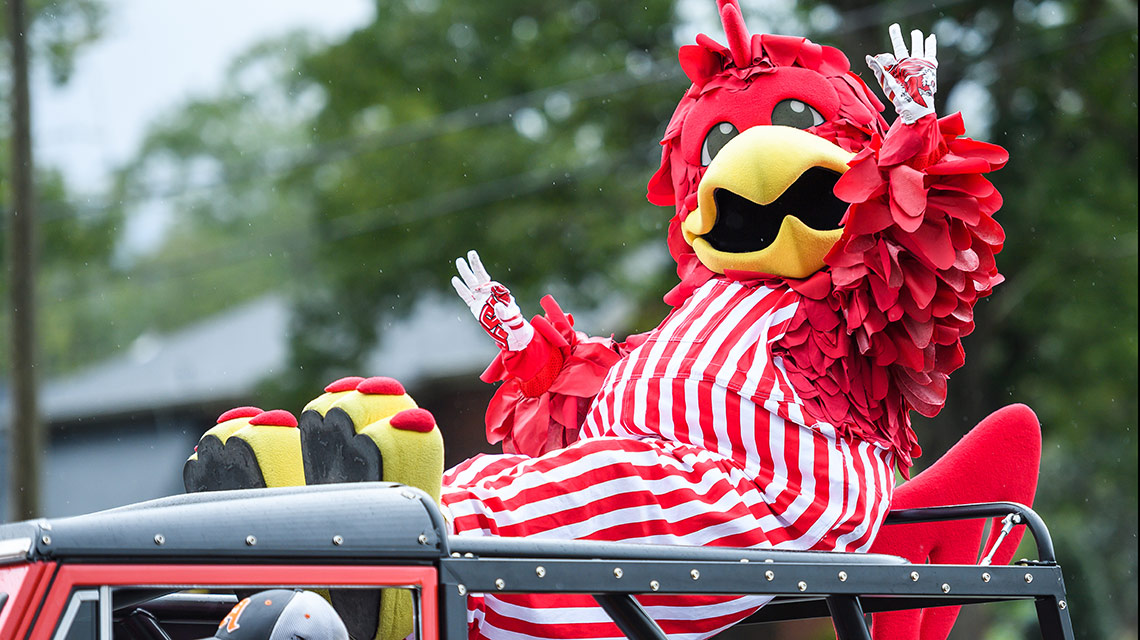 Cocky throws a "Fear the Beak" sign during the Homecoming Parade