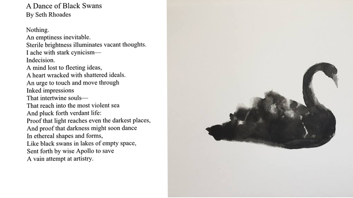 A Dance of Black Swans by Seth Rhoades 