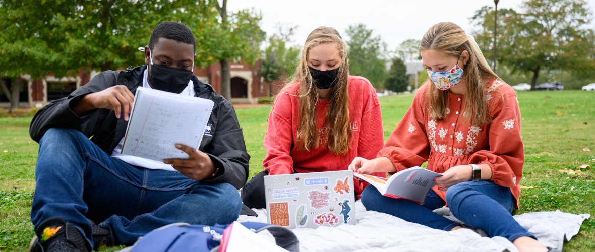 students studying outside