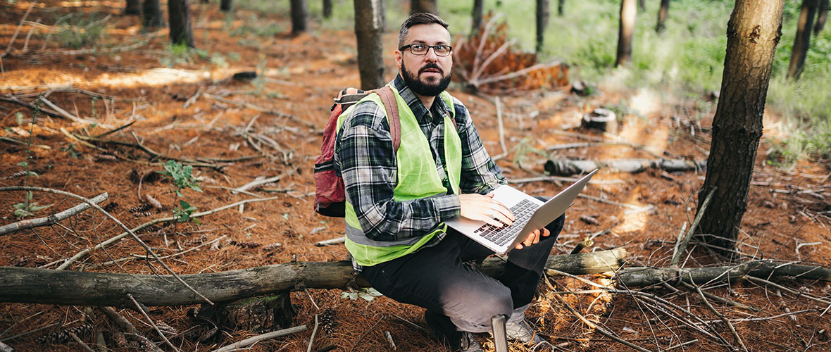 Land management professional examining land