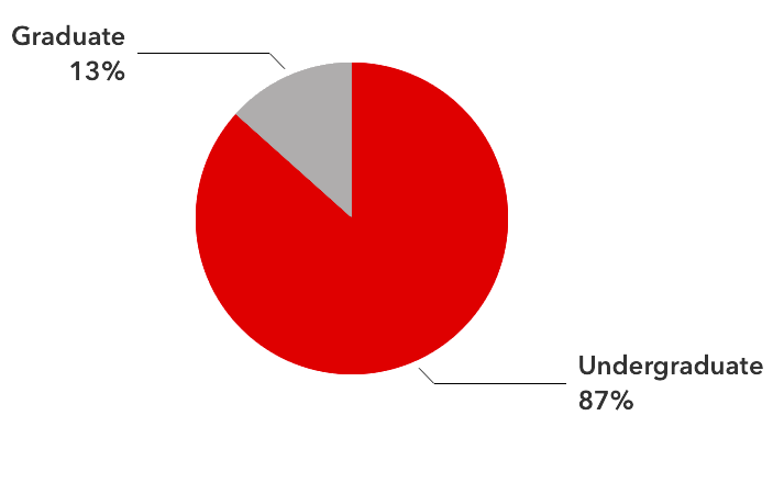 Graphic comparing the percentage of undergraduate students (87%) to graduate students (13%) in Fall 2023