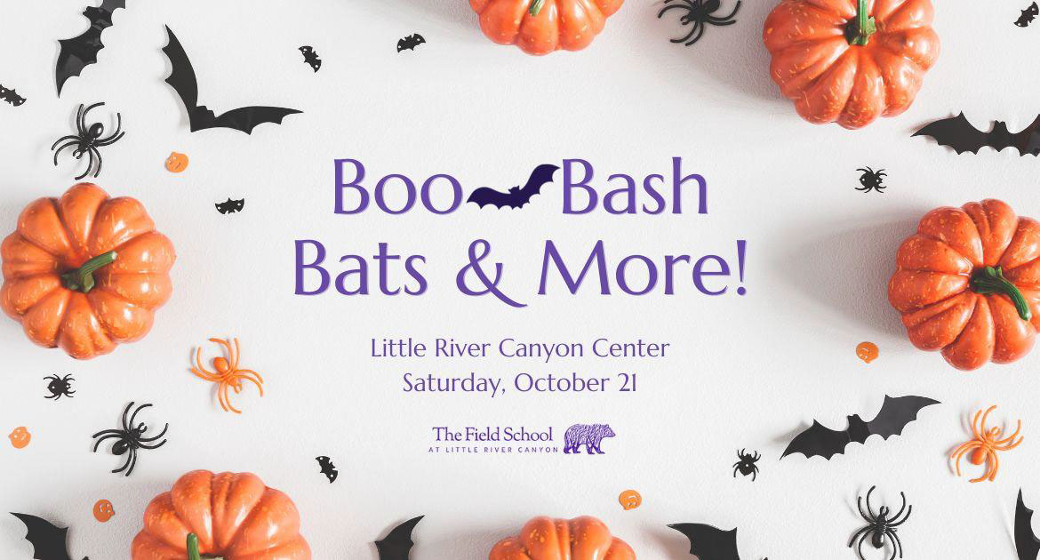 Boo Bash