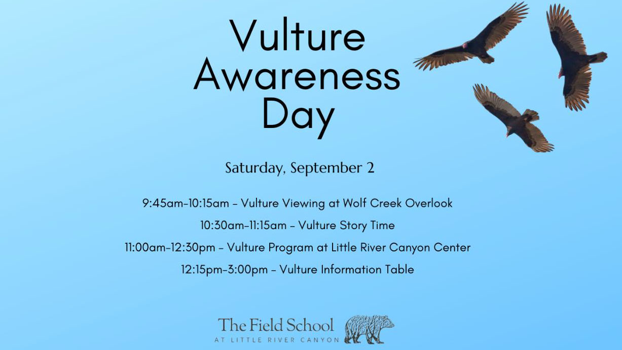 vulture awareness 