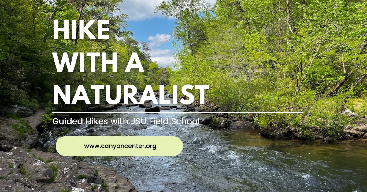 Hike with a Naturalist