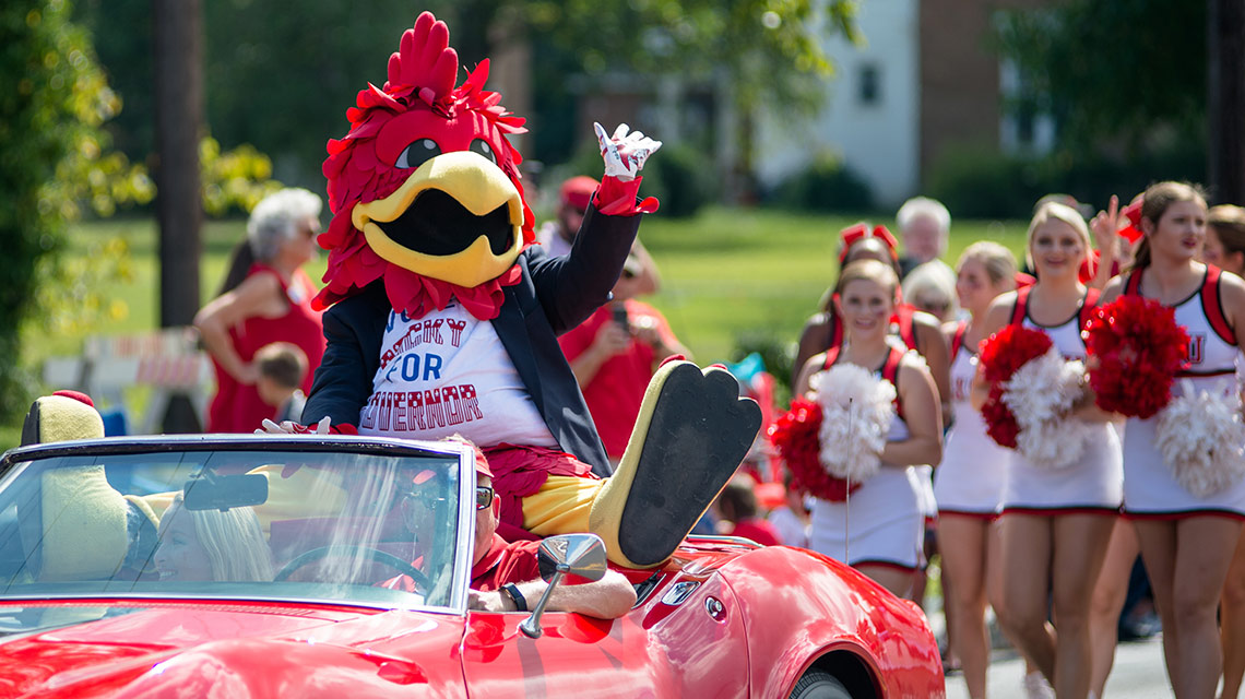 Cocky rides atop a convertible in the parade