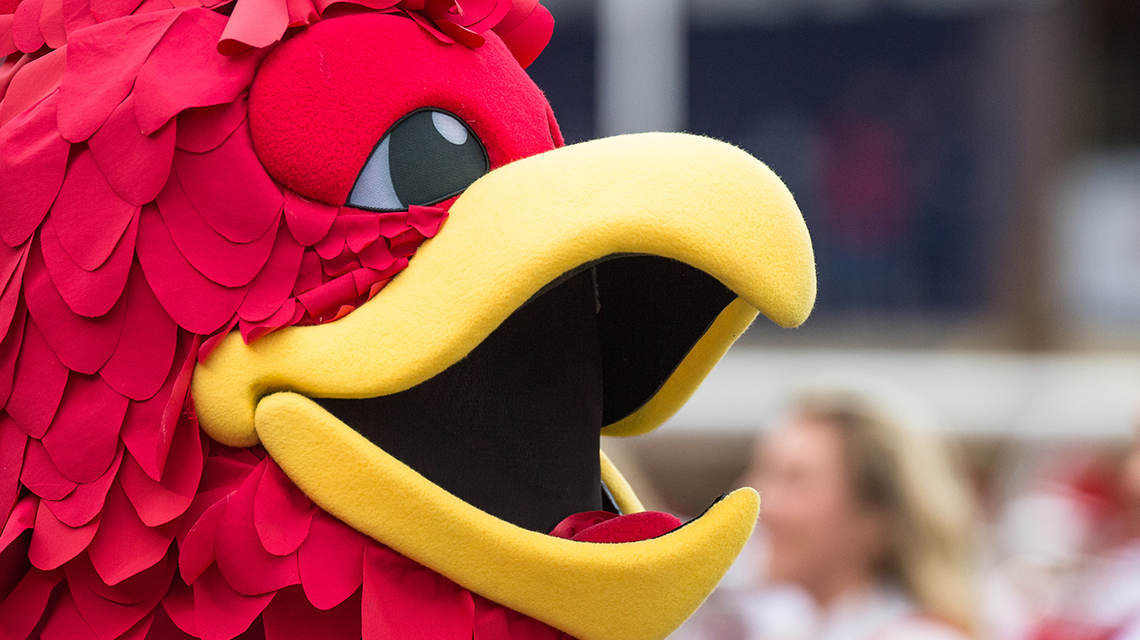 Cocky closeup