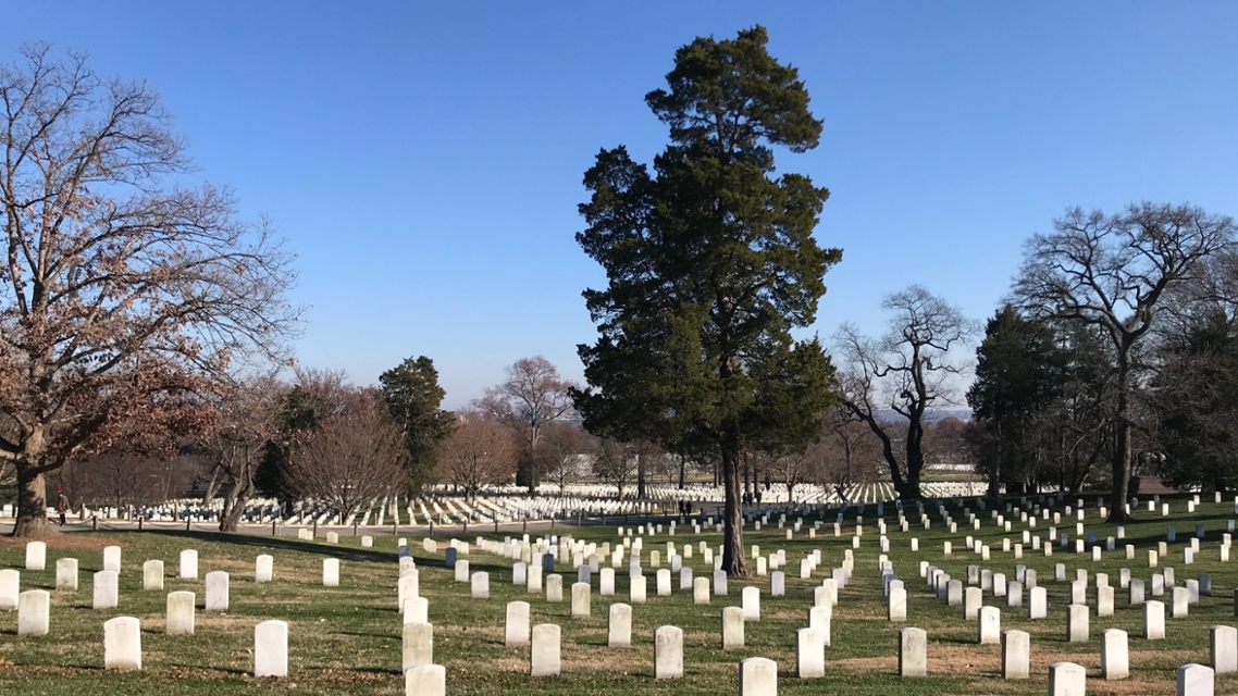 Arlington Cemetery