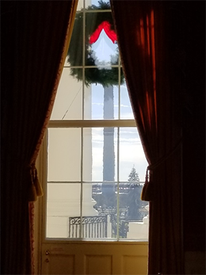 A view of the Washington Monument