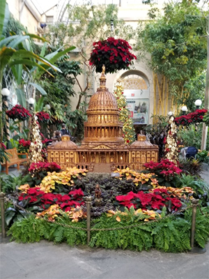 Statue of the U.S. Capitol Building in the U.S. Botanic Garden