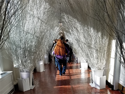 Jessika Holmes walking through white trees in the White House