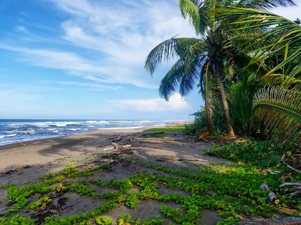 Caribbean beach on the east coast of Costa Rica