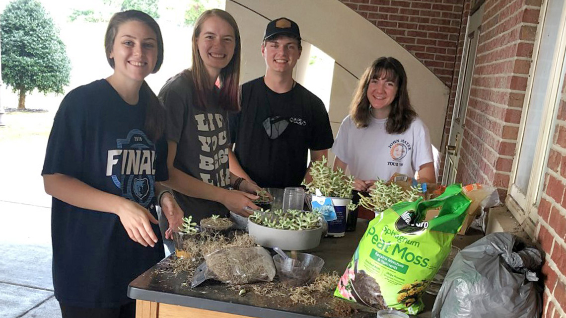 Students make their terrariums at the Terrarium party