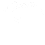 globe icon