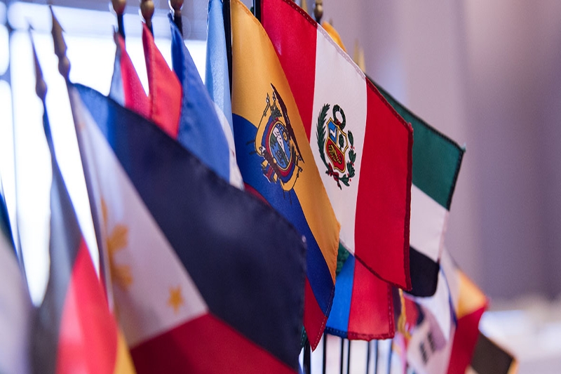 International Travel Risk