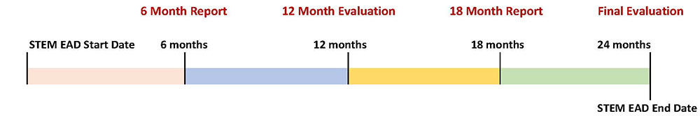 OPT Reporting Timeline