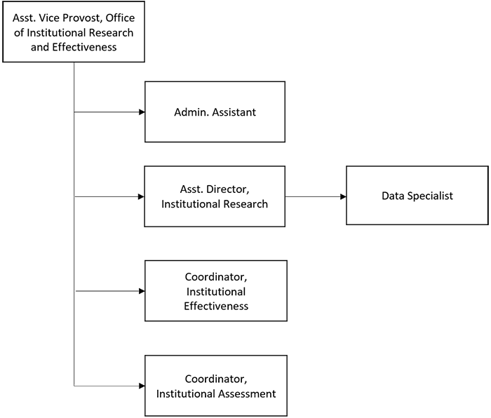 OIRE Org Chart