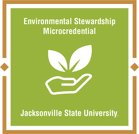 Environmental Stewardship Badge