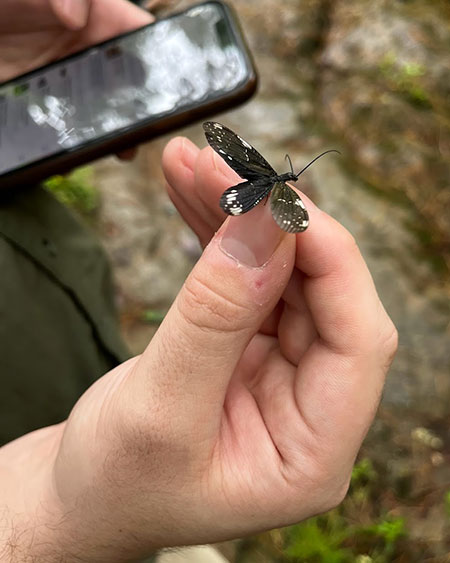 A participant holds a butterfly logged during the Bio Blitz