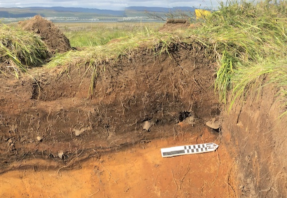 An archeological dig site in Iceland. 