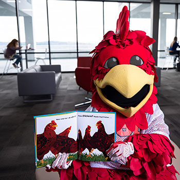Cocky reads a book on the twelfth floor of the Houston Cole Library.