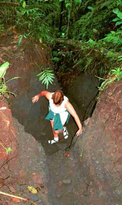 [  HIKING TO THE VOLCANO ]