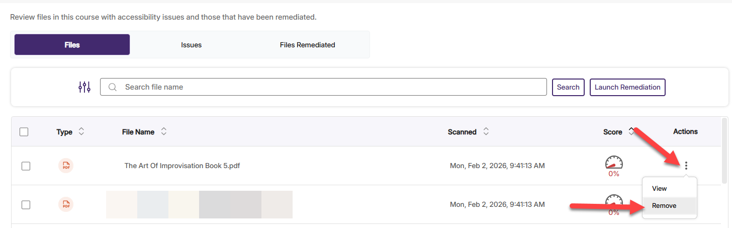Screenshot of itemized list in Panorama with a red arrow pointing at a file to remove from course.