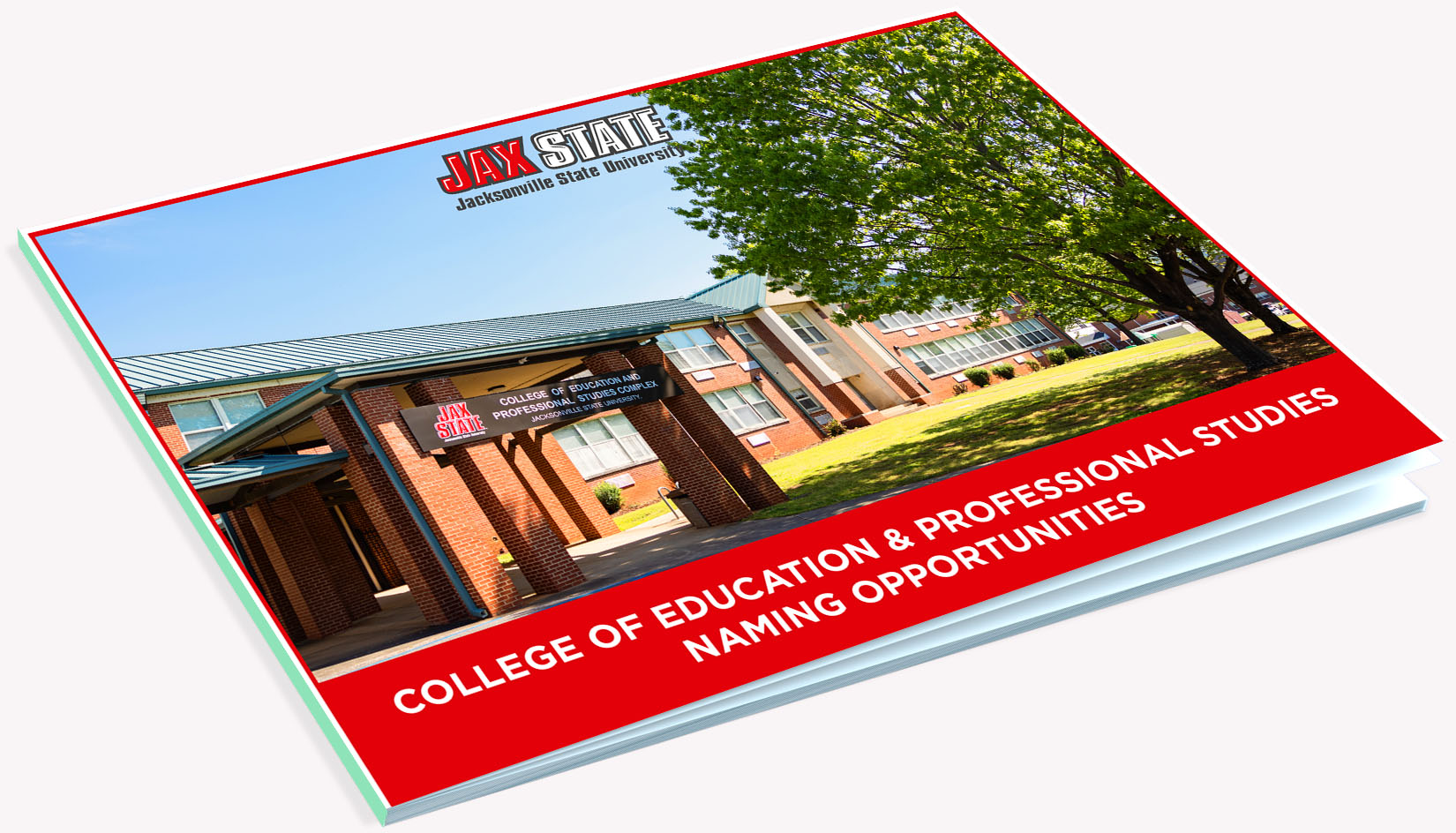 CEPS Booklet