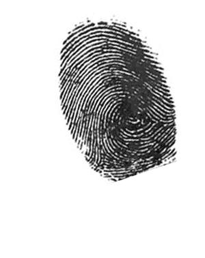 fingerprint graphic