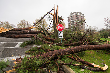 The aftermath of the March 2018 tornado at JSU- Fallen trees, twisted signs, and Houston Cole Library with the roof torn off