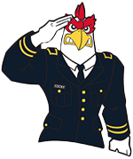 ROTC Gamecock art