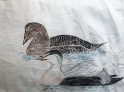 fourth grade duck Stamp Contest art by Mary Springer