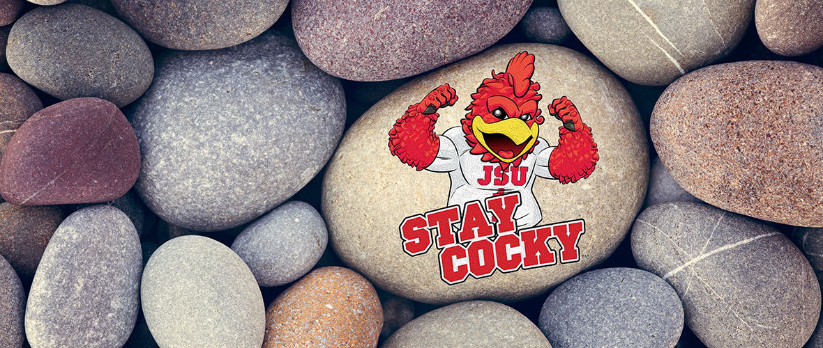 A layer of rocks, with one painted with a Gamecock and the words "Stay Cocky"
