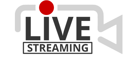 Live Webcam Icon